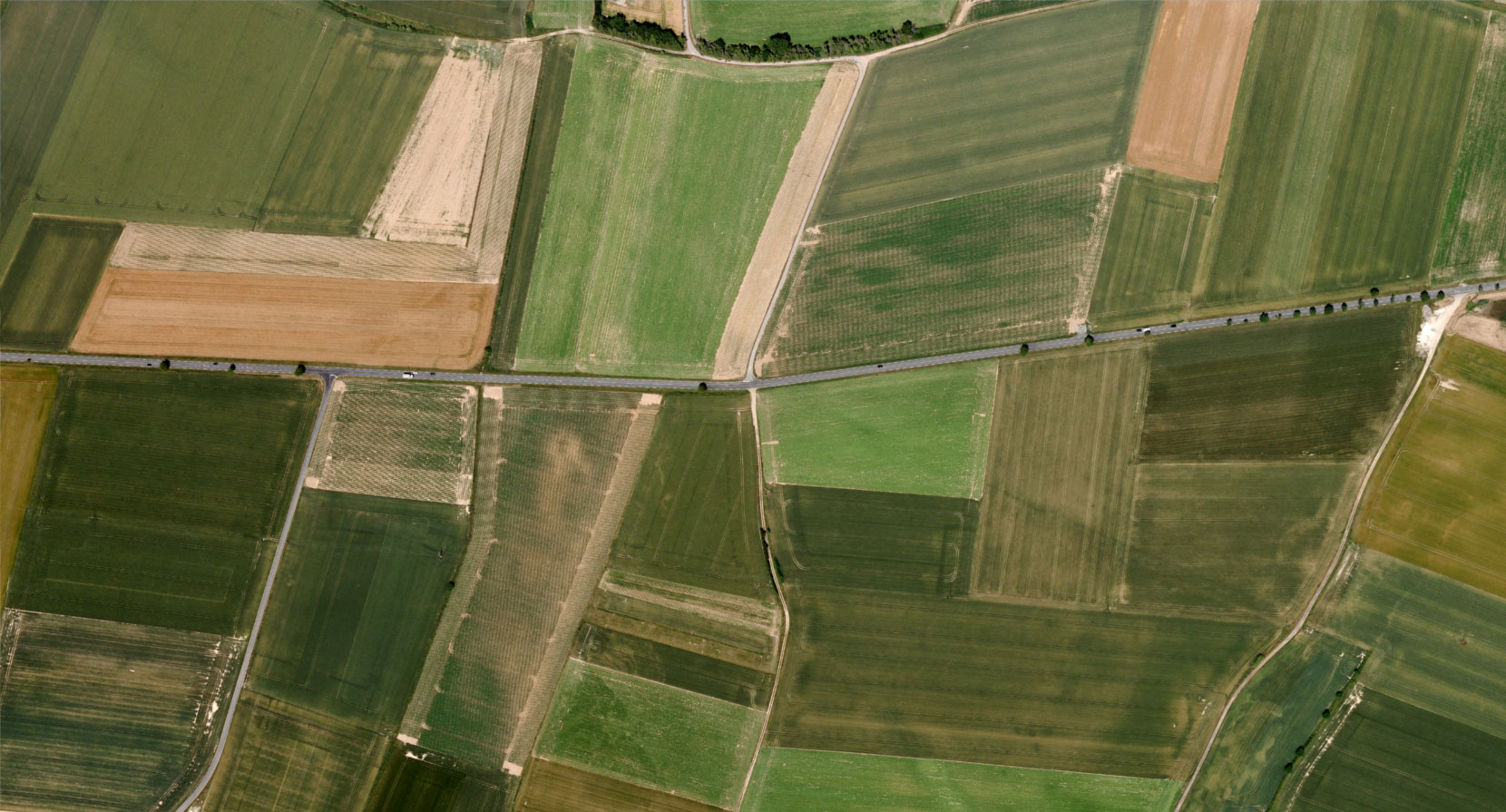 Drone - Agriculture