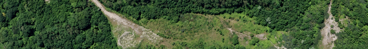 Ingeo Drone contact